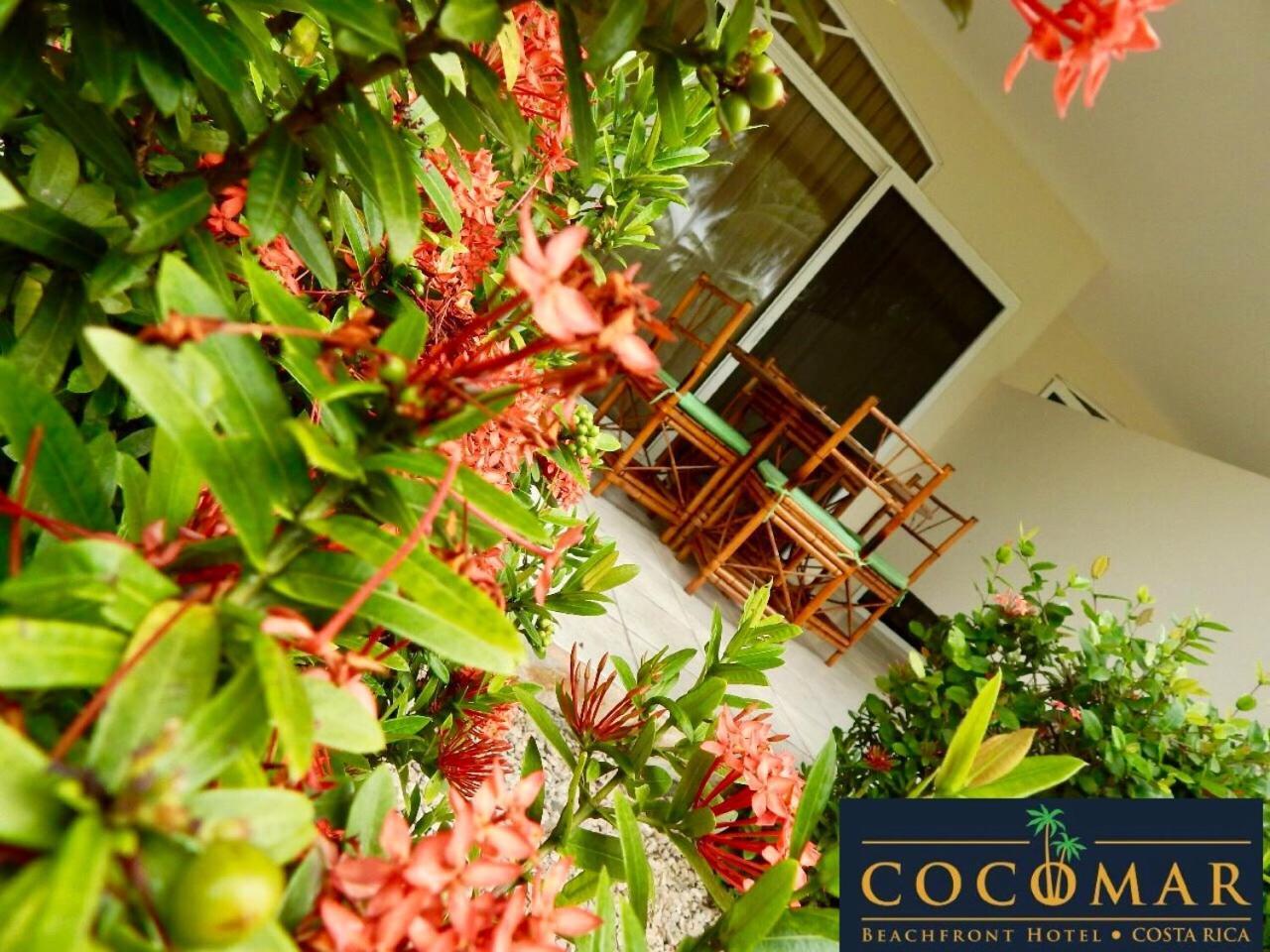 Cocomar Beachfront Hotel Парріта Екстер'єр фото