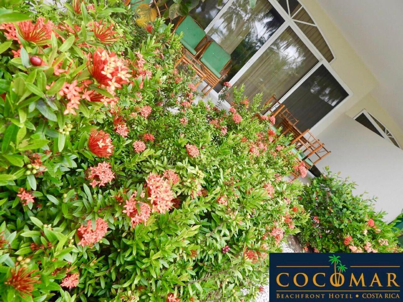 Cocomar Beachfront Hotel Парріта Екстер'єр фото